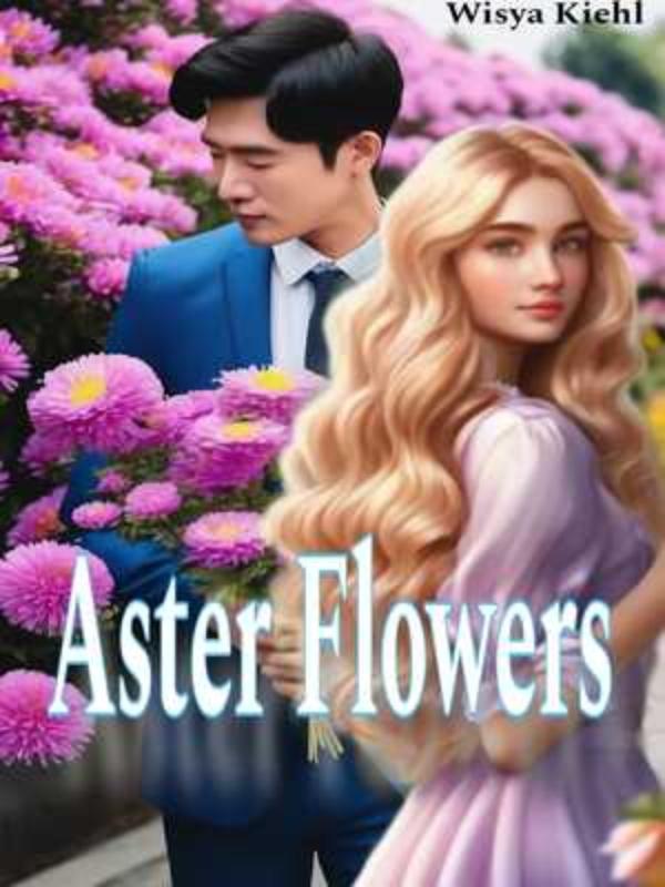 Aster Flowers