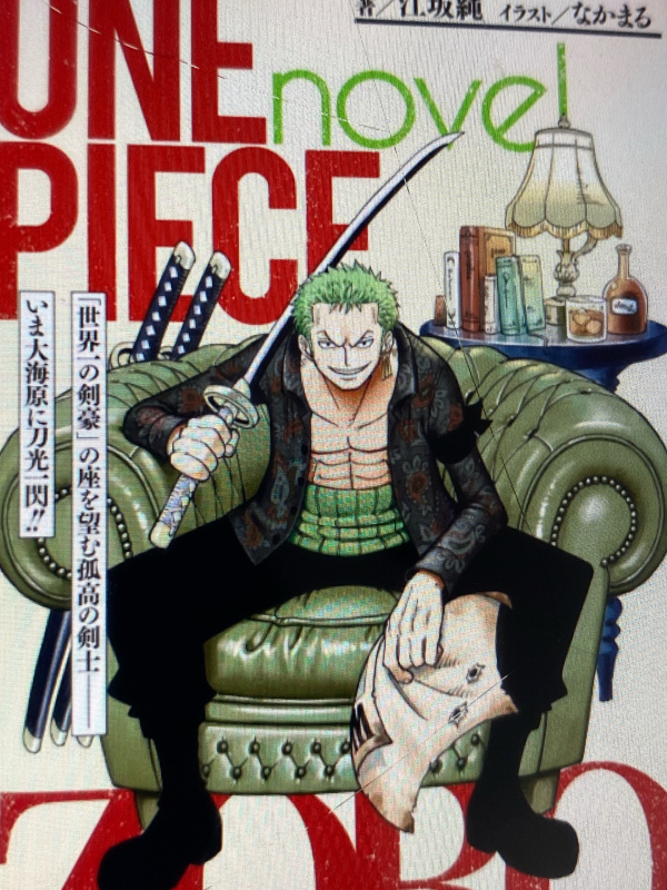 One piece: reincarnated as zoro