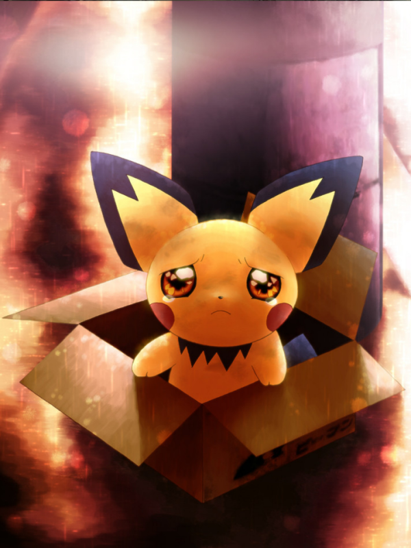 Pokémon orphanage