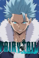 FAIRY TAIL - The Diamond Dragon