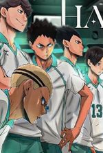 Haikyuu!!: I'm an Aoba Johsai player