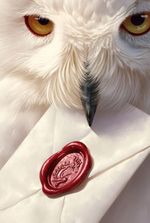 Harry Potter: The Shadow of Dark Magic