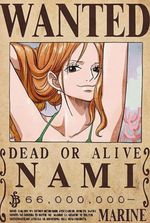 I got transmigrated into World of One Piece, but no system?