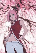 Naruto: Cherry Blossoms in the Snow