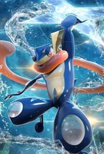 Pokémon : Play at home