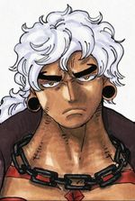 Seraphim in Punk Hazard