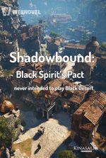 Shadowbound: Black Spirit’s Pact - never intended to play Black Desert