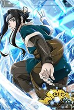 The Shimura Actually Has Ice Release