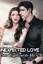 Unexpected Love: One Night With Mr CEO