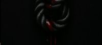 BLOOD IN SILK