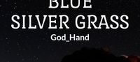 Blue Silver Grass