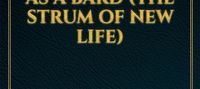 I Reincarnated as a Bard (The Strum of New Life)