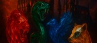Multiverse Selection 3 Harry Potter Auden