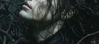 Secrets of Regulus Black
