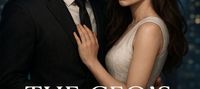 The Ceo's contract wife
