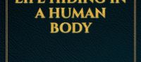 the demon king second life hiding in a human body