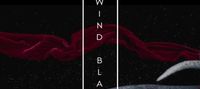 The Wind Blades